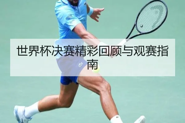 世界杯决赛精彩回顾与观赛指南