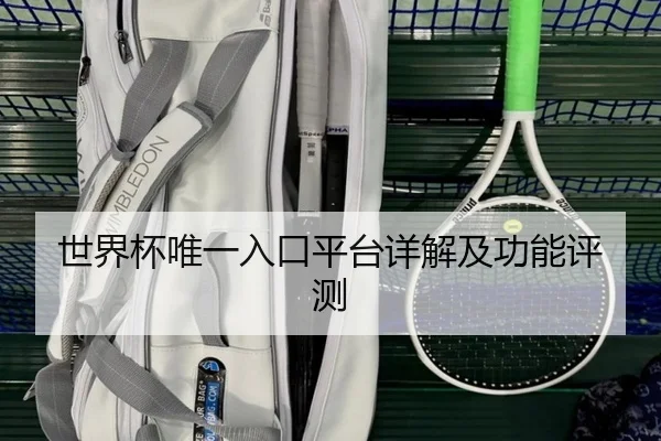 世界杯唯一入口平台详解及功能评测